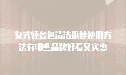女式轻奢包清洁推荐使用方法有哪些品牌好看又实惠