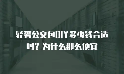轻奢公文包DIY多少钱合适吗？为什么那么便宜