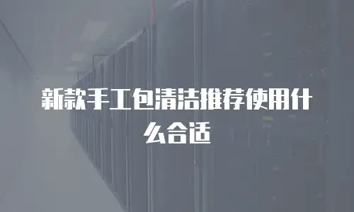 新款手工包清洁推荐使用什么合适
