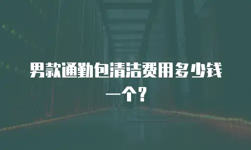 男款通勤包清洁费用多少钱一个？