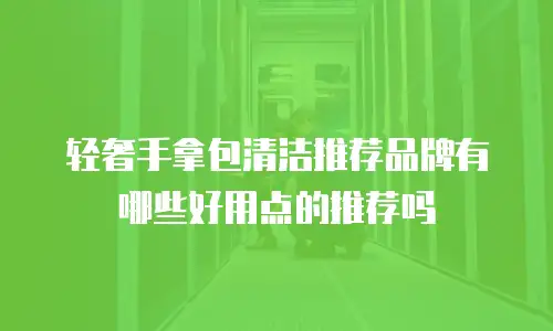 轻奢手拿包清洁推荐品牌有哪些好用点的推荐吗