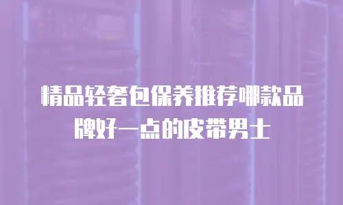 精品轻奢包保养推荐哪款品牌好一点的皮带男士