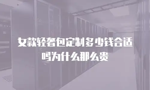 女款轻奢包定制多少钱合适吗为什么那么贵