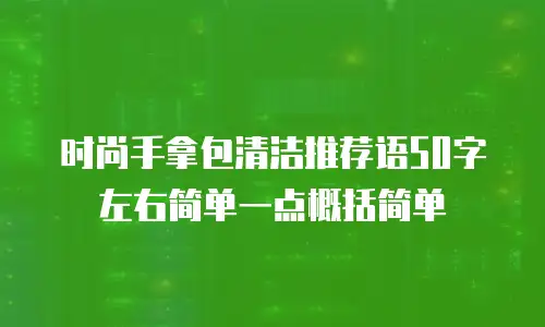 时尚手拿包清洁推荐语50字左右简单一点概括简单