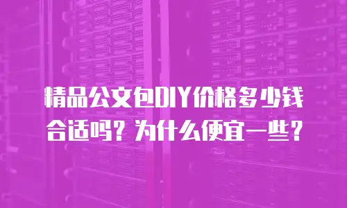 精品公文包DIY价格多少钱合适吗？为什么便宜一些？