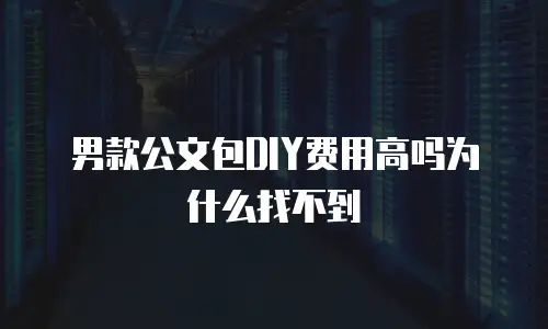 男款公文包DIY费用高吗为什么找不到