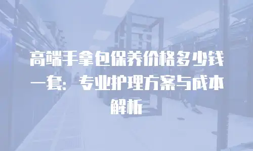 高端手拿包保养价格多少钱一套：专业护理方案与成本解析