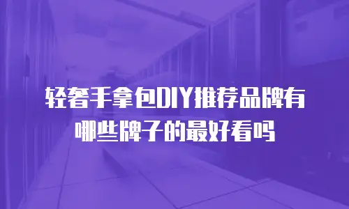 轻奢手拿包DIY推荐品牌有哪些牌子的最好看吗