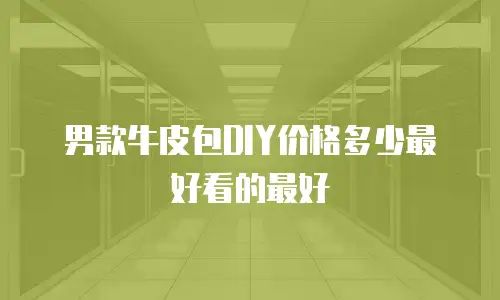 男款牛皮包DIY价格多少最好看的最好