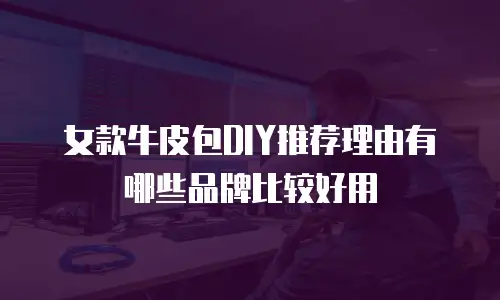 女款牛皮包DIY推荐理由有哪些品牌比较好用