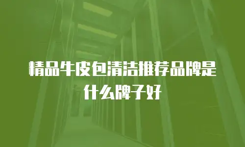 精品牛皮包清洁推荐品牌是什么牌子好