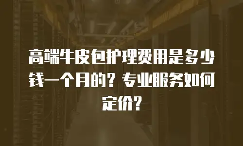 高端牛皮包护理费用是多少钱一个月的？专业服务如何定价？