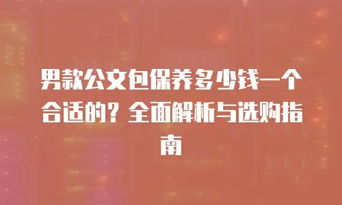 男款公文包保养多少钱一个合适的？全面解析与选购指南