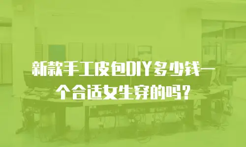 新款手工皮包DIY多少钱一个合适女生穿的吗？