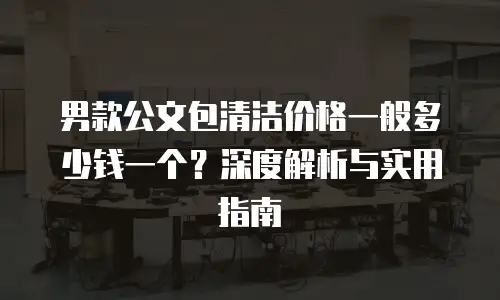 男款公文包清洁价格一般多少钱一个？深度解析与实用指南
