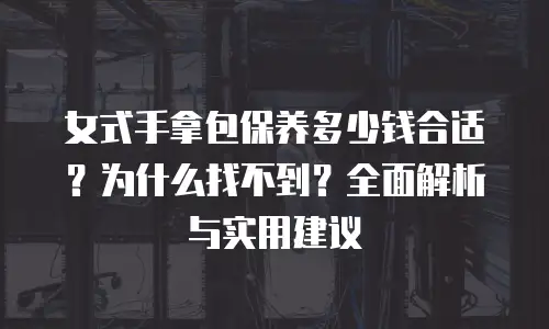 女式手拿包保养多少钱合适？为什么找不到？全面解析与实用建议