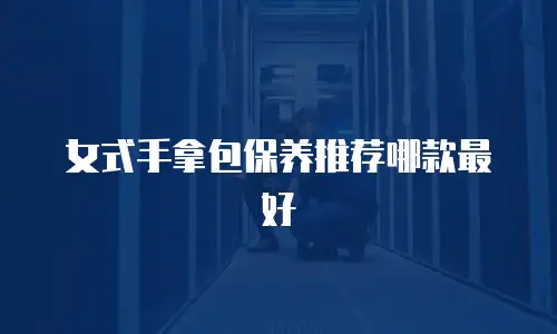 女式手拿包保养推荐哪款最好