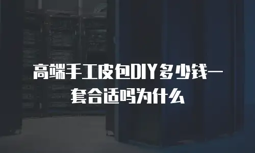 高端手工皮包DIY多少钱一套合适吗为什么