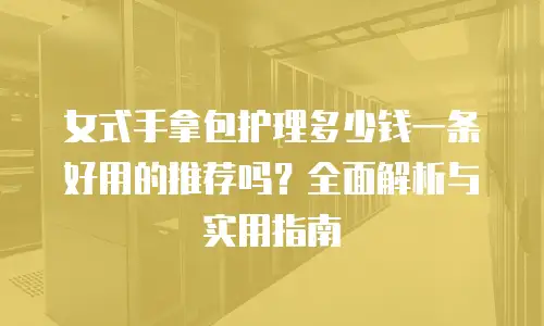 女式手拿包护理多少钱一条好用的推荐吗？全面解析与实用指南