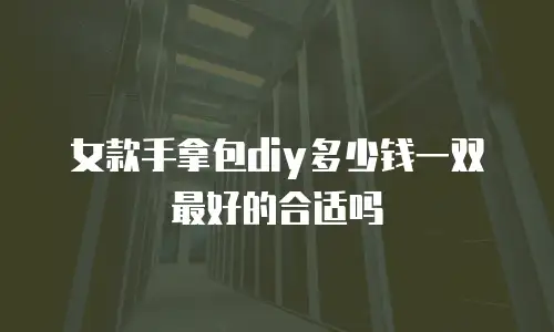 女款手拿包diy多少钱一双最好的合适吗