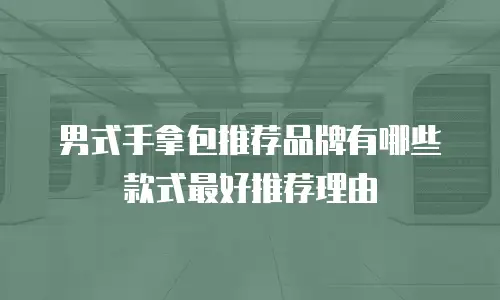 男式手拿包推荐品牌有哪些款式最好推荐理由