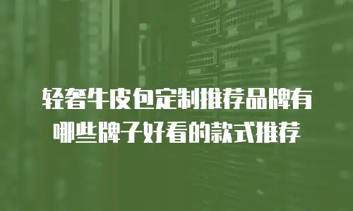 轻奢牛皮包定制推荐品牌有哪些牌子好看的款式推荐