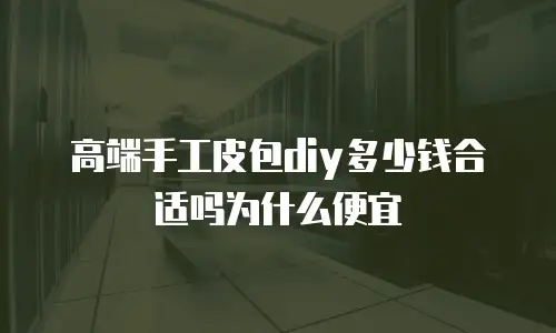 高端手工皮包diy多少钱合适吗为什么便宜
