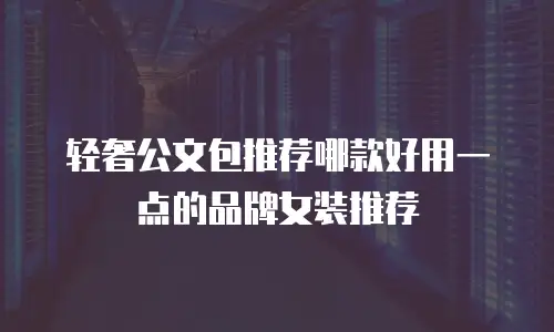 轻奢公文包推荐哪款好用一点的品牌女装推荐