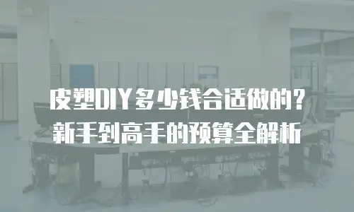 皮塑DIY多少钱合适做的？新手到高手的预算全解析