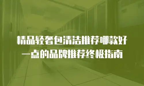精品轻奢包清洁推荐哪款好一点的品牌推荐终极指南
