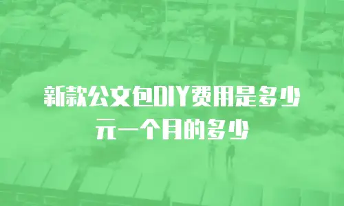 新款公文包DIY费用是多少元一个月的多少