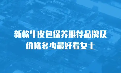 新款牛皮包保养推荐品牌及价格多少最好看女士