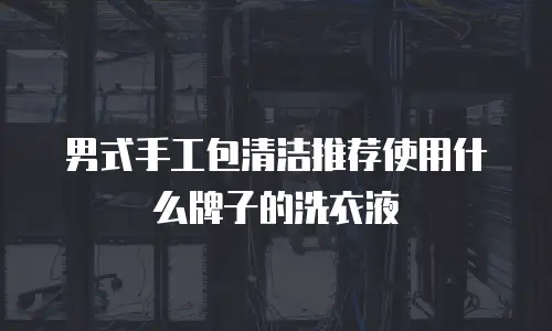 男式手工包清洁推荐使用什么牌子的洗衣液