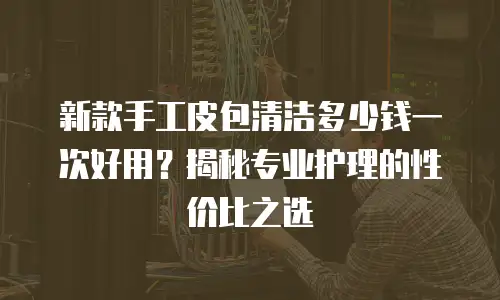 新款手工皮包清洁多少钱一次好用？揭秘专业护理的性价比之选