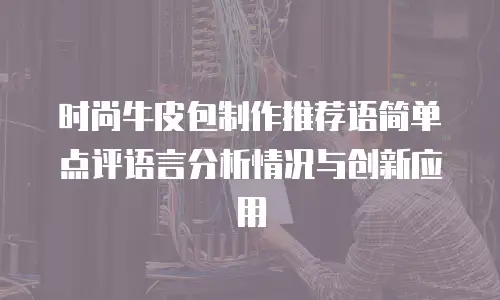 时尚牛皮包制作推荐语简单点评语言分析情况与创新应用