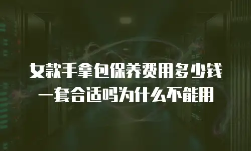 女款手拿包保养费用多少钱一套合适吗为什么不能用