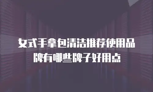 女式手拿包清洁推荐使用品牌有哪些牌子好用点