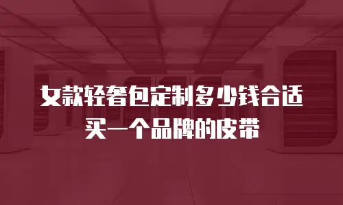 女款轻奢包定制多少钱合适买一个品牌的皮带
