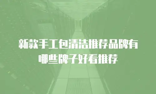 新款手工包清洁推荐品牌有哪些牌子好看推荐