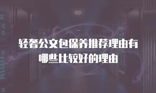 轻奢公文包保养推荐理由有哪些比较好的理由