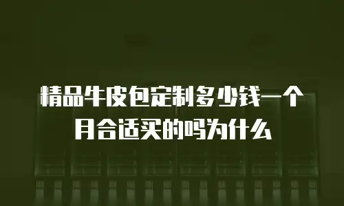 精品牛皮包定制多少钱一个月合适买的吗为什么