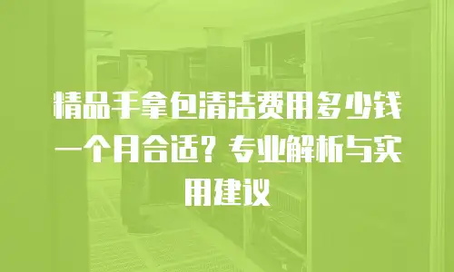 精品手拿包清洁费用多少钱一个月合适？专业解析与实用建议