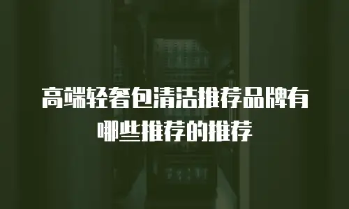 高端轻奢包清洁推荐品牌有哪些推荐的推荐