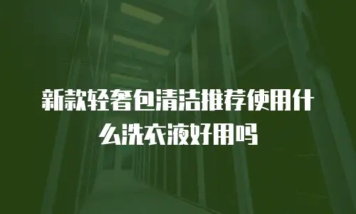 新款轻奢包清洁推荐使用什么洗衣液好用吗