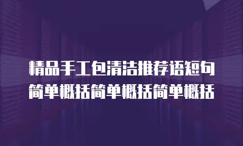 精品手工包清洁推荐语短句简单概括简单概括简单概括