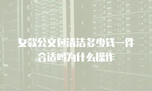 女款公文包清洁多少钱一件合适吗为什么操作