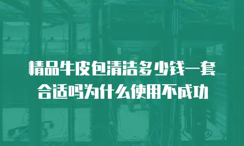 精品牛皮包清洁多少钱一套合适吗为什么使用不成功