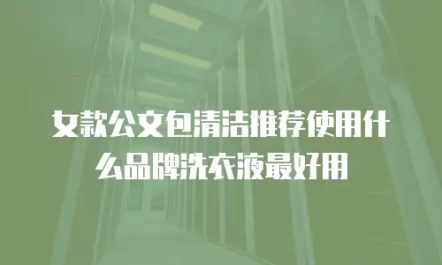 女款公文包清洁推荐使用什么品牌洗衣液最好用