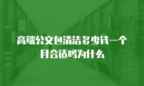 高端公文包清洁多少钱一个月合适吗为什么