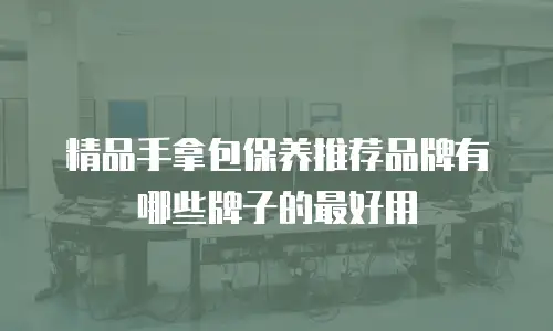 精品手拿包保养推荐品牌有哪些牌子的最好用